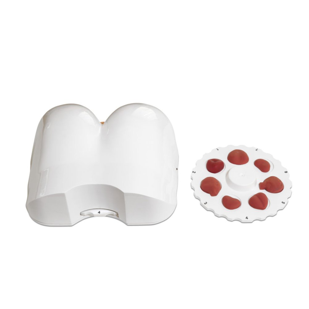 Тренажер исследования предстательной железы