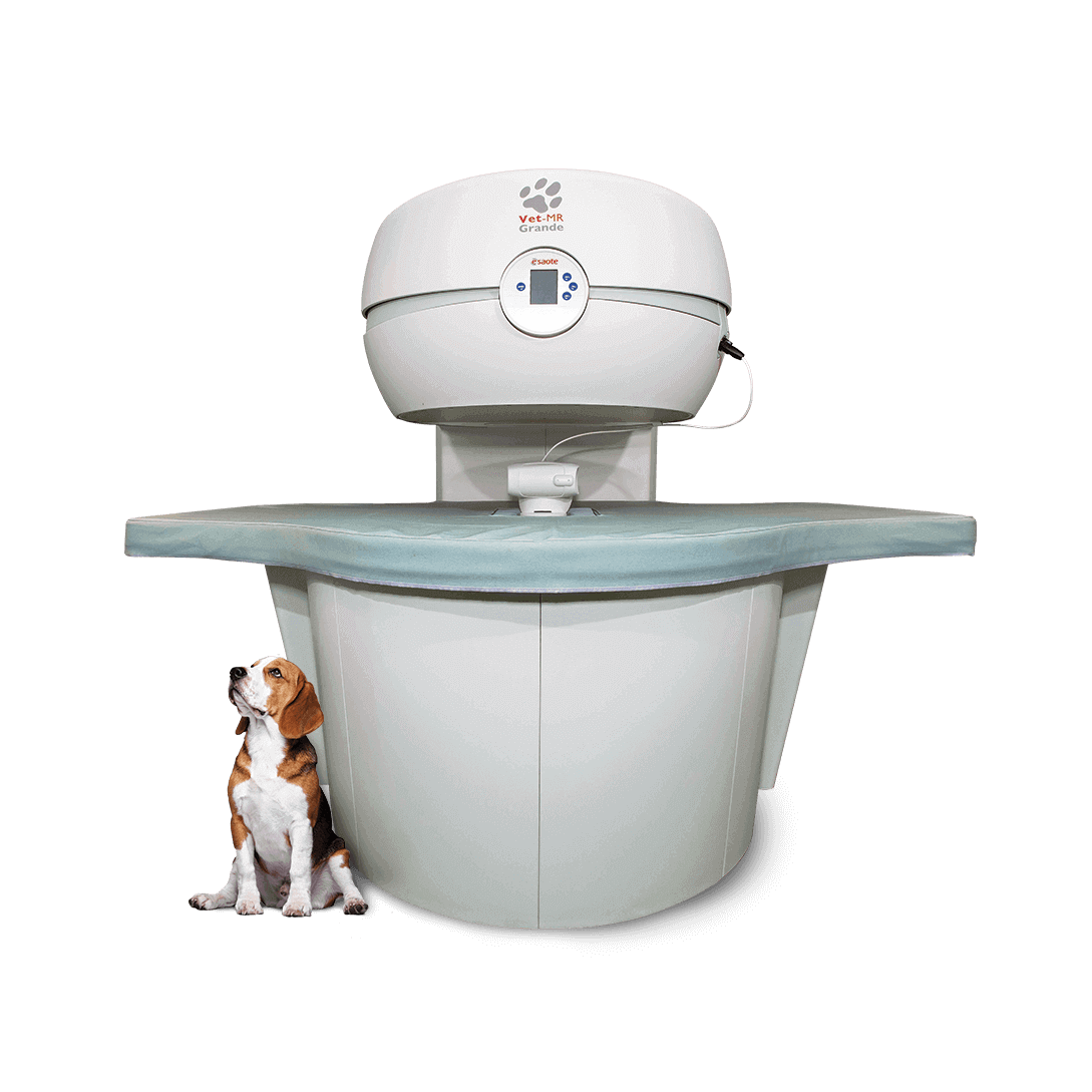 Ветеринарная МРТ-система Esaote Vet-MR