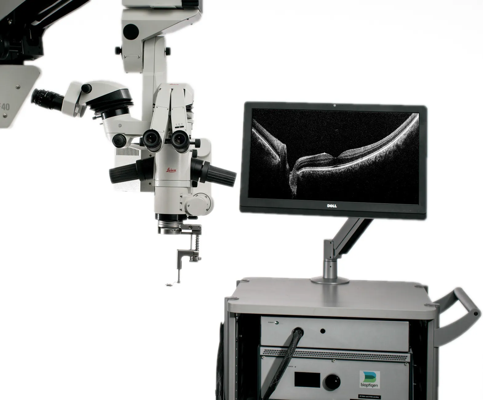 Bioptigen EnFocus