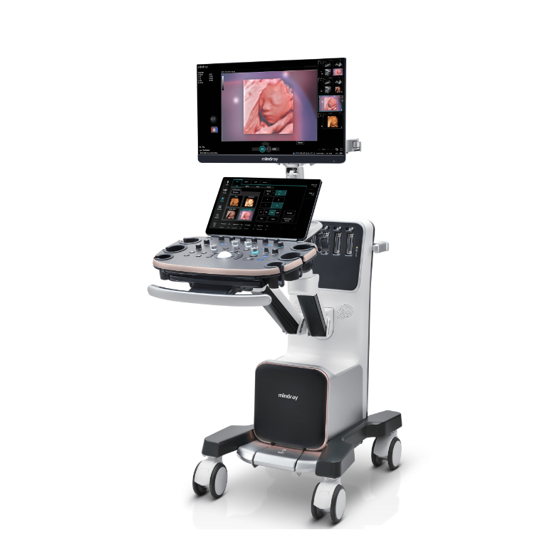 Ультразвуковой аппарат Mindray Imagyn I9 Easi