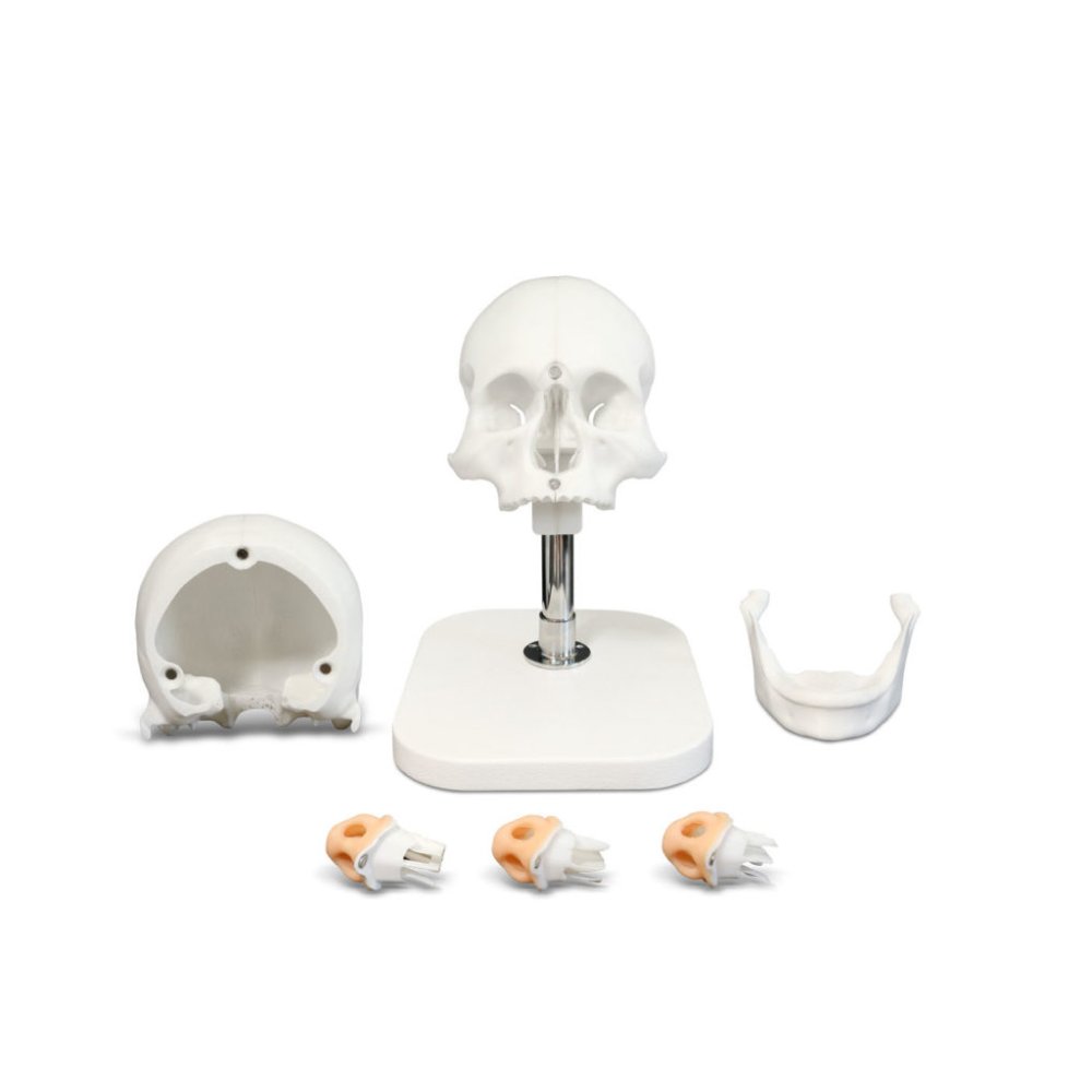 Тренажер по оториноларингологии