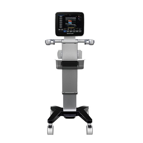 УЗИ аппарат CHISON SonoTouch 30 (ECO 3)