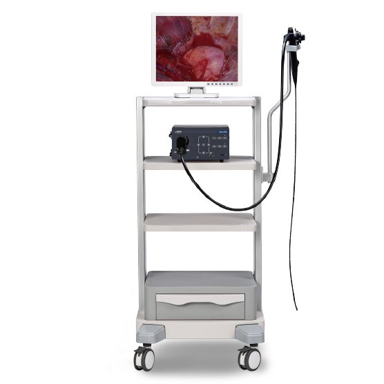 Видеоэндоскопическая система Mindray Vetina ES3