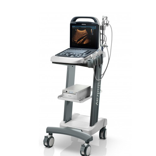 Ультразвуковая диагностическая система Mindray DP-10 Vet