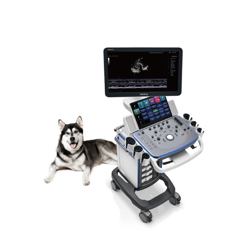 Ветеринарный УЗИ-сканер Mindray Vetus 5