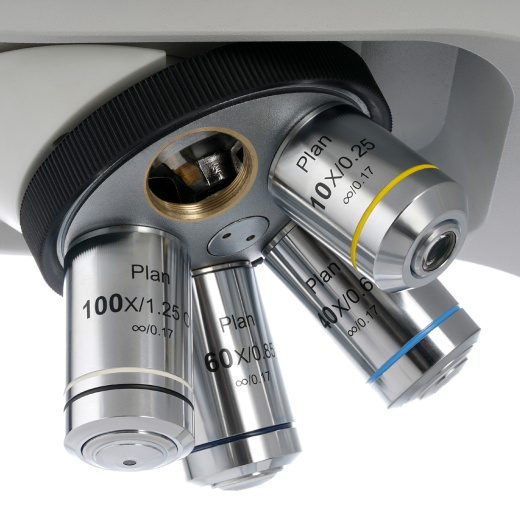 Цифровой микроскоп Levenhuk MED D40T LCD