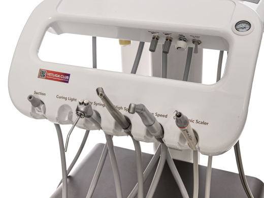 Ветеринарная стоматологическая установка VETLIGA DM-280