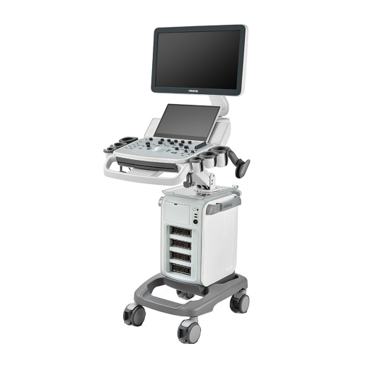 Ультразвуковая диагностическая система Mindray DC-40 PRO