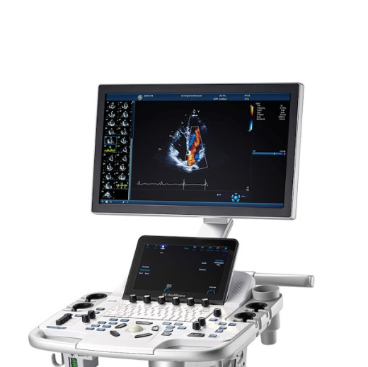 Ультразвуковая диагностическая система GE Healthcare Vivid T8
