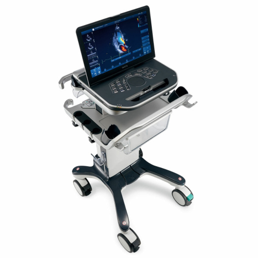 Портативная ультразвуковая система GE Healthcare Vivid iQ