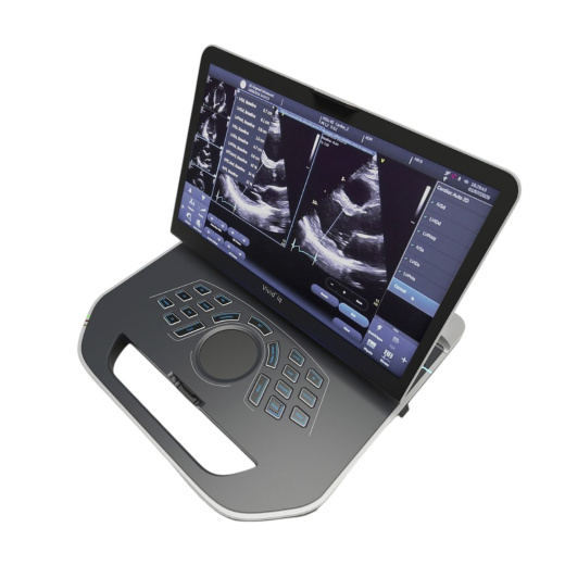Портативная ультразвуковая система GE Healthcare Vivid iQ