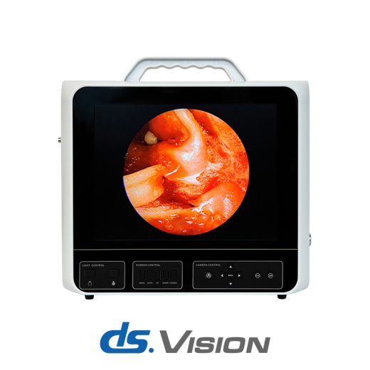 Система эндоскопической визуализации DS.Vision SD 3in1