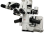 Bioptigen EnFocus