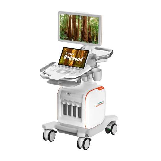 Ультразвуковая система Siemens ACUSON Redwood