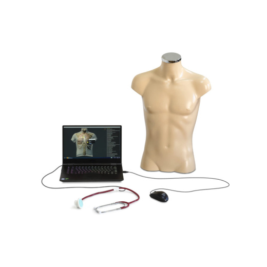 Тренажёр по аускультации