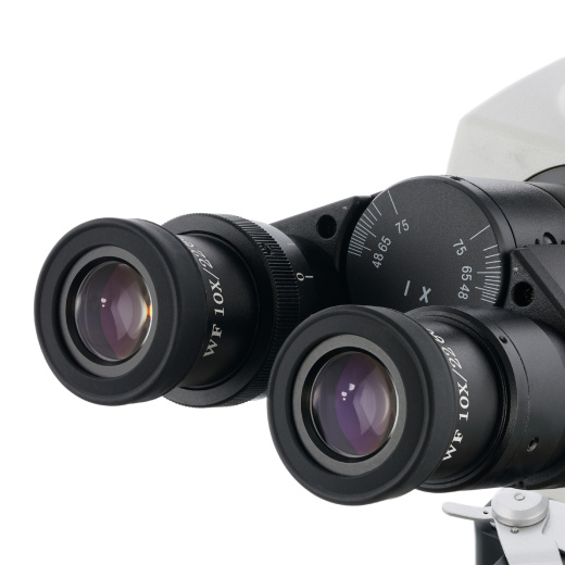 Цифровой микроскоп Levenhuk MED D40T LCD