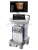 УЗИ аппарат GE HealthCare Voluson Expert 22
