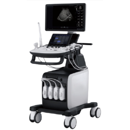 УЗИ аппарат РуСкан 65