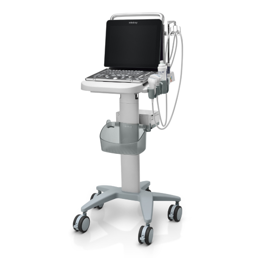 Ветеринарный УЗИ-сканер Mindray Z60 Vet