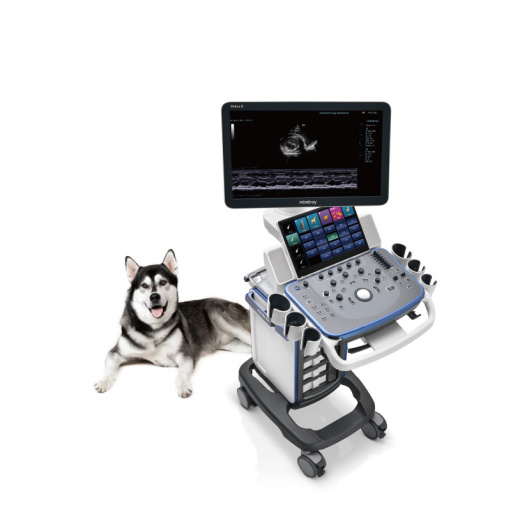 Ветеринарный УЗИ-сканер Mindray Vetus 5